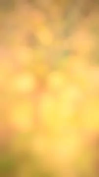 Abstract orange background Stock Photos