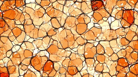 Abstract orange Biological Cell Structure Microscopic Texture Vídeo Stock 336635146