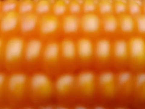 Abstract Orange Bokeh Light Texture Background, Warm Blurred Pattern Stock Photos