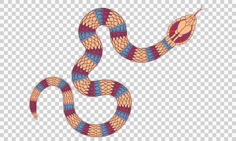Abstract orange cartoon snake pattern 库存插图