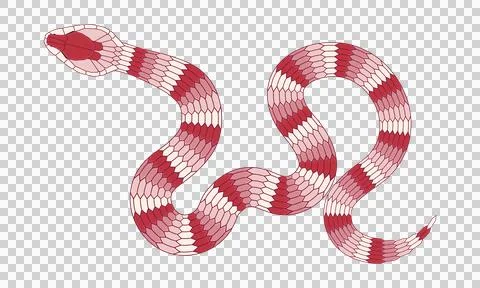 Abstract orange cartoon snake pattern 스톡 일러스트