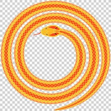 Abstract orange cartoon snake pattern 스톡 일러스트