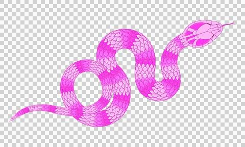 Abstract orange cartoon snake pattern 스톡 일러스트