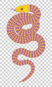 Abstract orange cartoon snake pattern 스톡 일러스트