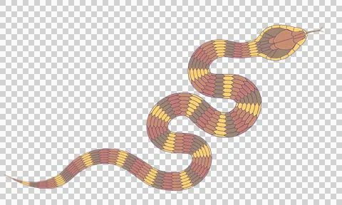 Abstract orange cartoon snake pattern イラスト素材