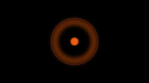 Abstract orange circle wave animation on black background Stock Footage 317252560