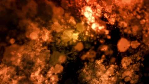 Abstract orange color fire motion graphics scene, where various-sized particles Stock Footage 320394030