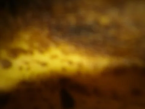 Abstract orange dark wallpaper with different elements in blurry effect with  Foto stock