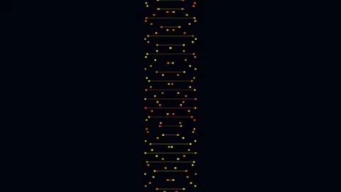 Abstract Orange Digital DNA Helix Animation Stock Footage 340987112