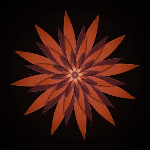 Abstract Orange Flower Bloom Animation with Dark Background and Particles Stock Footage 346280317