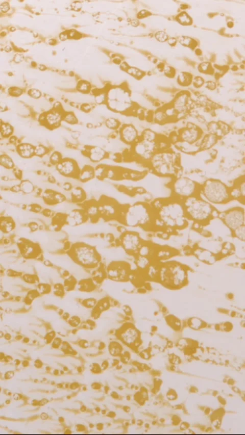 Abstract orange fluid background with swirling patterns and bubbles Stock Footage 341903867