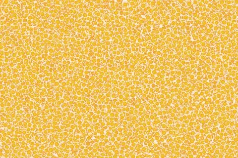 Abstract orange fruit background Stock Illustration