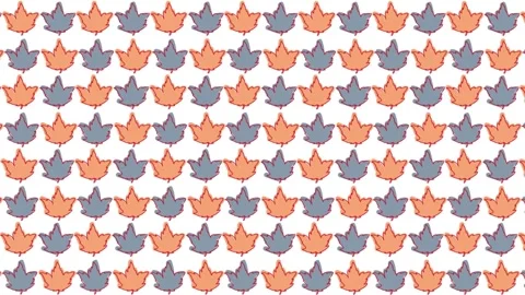 Abstract orange gray leaf pattern, motion Stock Footage 274539252