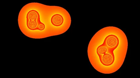 Abstract Orange Lava Lamp Animation on Black Background Stock Footage 340987185