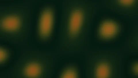 Abstract Orange Light Orbs on Dark Green Seamless Loop Stock Footage 340538293