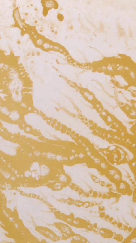 Abstract orange lines on a white surface Stock Footage 341273028
