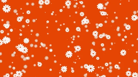 Abstract orange motion background with flowers Stock Footage 91952825