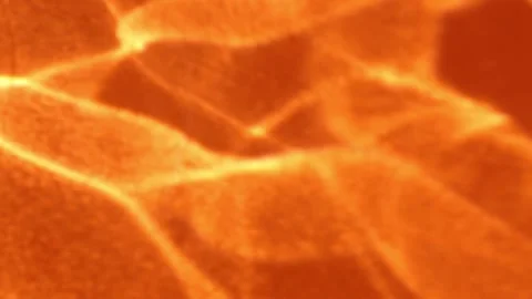 Abstract orange shadows and sparkles dancing around Stock Footage 135361189