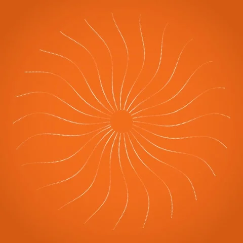 Abstract Orange Sunburst Dot Pattern Animation - Radial Burst Effect Stock Footage 347809650