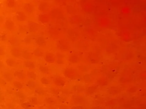 Abstract Orange Texture Background with Soft Gradient Pattern Stock Photos