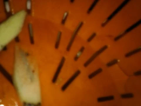 Abstract orange wallpaper with different elements in blurry effect with light Stock Photos