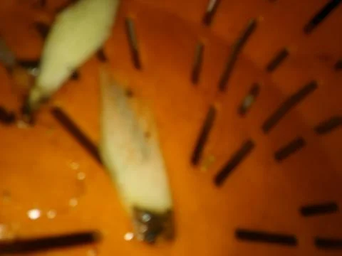 Abstract orange wallpaper with different elements in blurry effect with light 写真素材