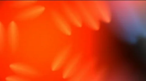 Abstract Organic Backgrounds With Alpha Channel Stock Footage 451140