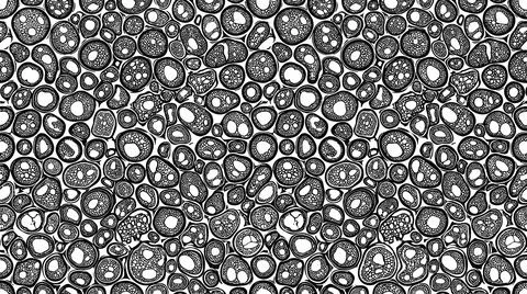 Abstract organic cellular pattern with round shapes and circles on white ba.. Stock Illustration
