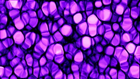 Abstract Organic Cellular Texture Microscopic Biological Background Stock Footage 341874680