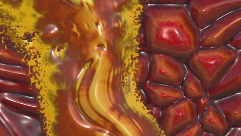 Abstract  organic effect Stock Footage 115662559