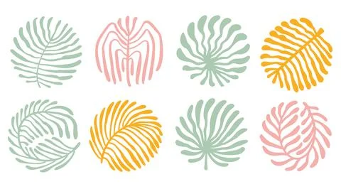 Abstract organic flower elements. Modern floral coral shapes with wavy curves イラスト素材