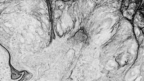 Abstract Organic Fluid Lines on Black Background Stock Footage 329948278