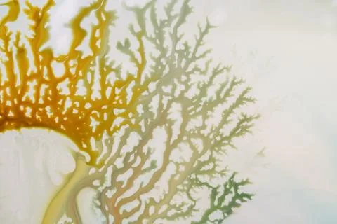 Abstract organic fluid pattern resembling branching tree or coral in yellow a Stock Illustration