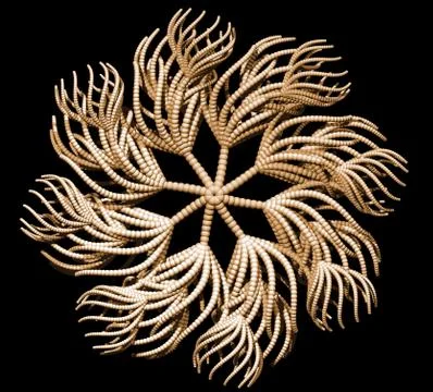 Abstract organic form on black background - 3d illustration Stock Illustration