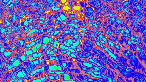 Abstract organic forms Stock Footage 140934613