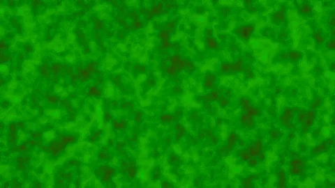 Abstract organic fractal patterns in motion. Changing forms animation Stock Footage 108362302