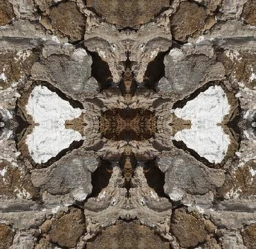 Abstract Organic Image. Symmetrical Pattern Texture. Kaleida Design Stock-Fotos