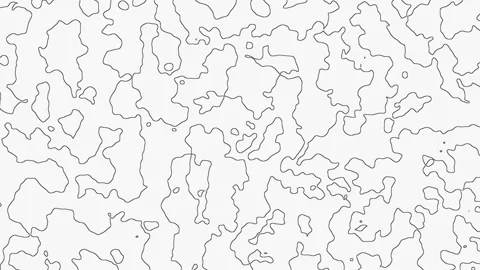 Abstract organic line pattern animation on light background Stock Footage 344248228