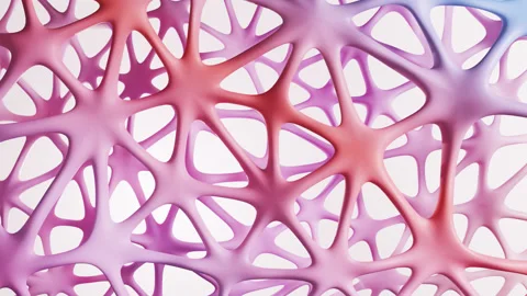 Abstract organic net animation. 3d render, realistic design Video stock 280214546