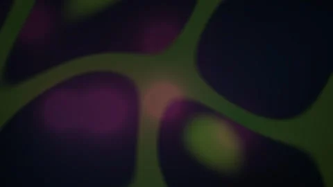 Abstract Organic Network Pattern Dark Background. Stock Footage 334503181