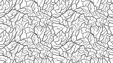 Abstract organic pattern with thin black lines resembling tree branches or .. Stock Illustration