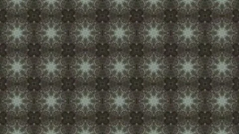 Abstract Organic Patterns with Visual Depth Stock Footage 326619137