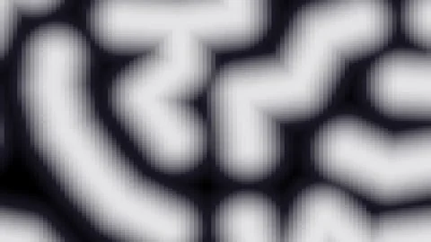 Abstract Organic Shapes Flowing with Soft Gradient Light during Smooth Cine.. Stock Footage 341691083