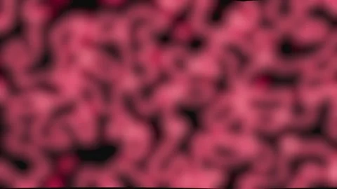Abstract Organic Texture with Cinematic Motion and Soft Lighting for Visual.. Video stock 340950769