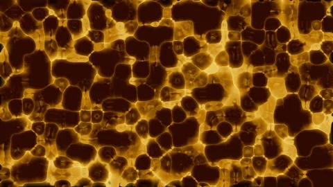 Abstract Organic Texture with Golden Particles in Cinematic Motion 스톡 동영상 340901019