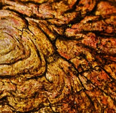 Abstract organic texture Stock Photos