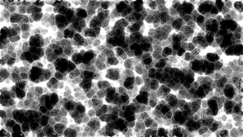 Abstract organic textures transitioning from light to dark in granular deta.. Video stock 342507534