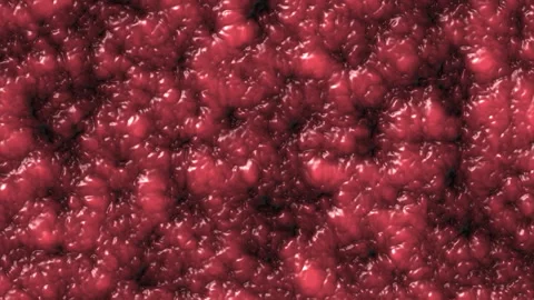Abstract organic wet slime, brain biological matter background. Seething fl.. Stock Footage 336288946