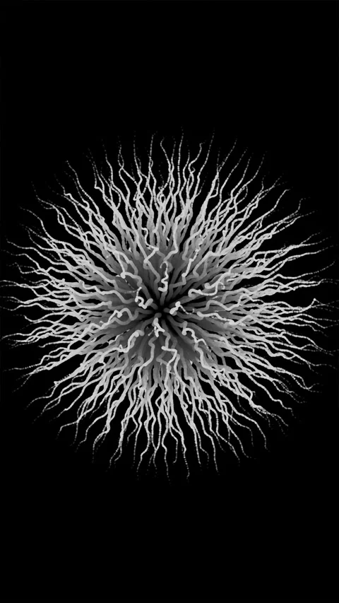 Abstract organic white tentacles expanding on black background Stock Footage 342249158