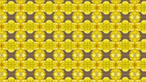 Abstract orient kaleidoscopic pattern with lattice structure in floral colors. Stock Footage 48787232